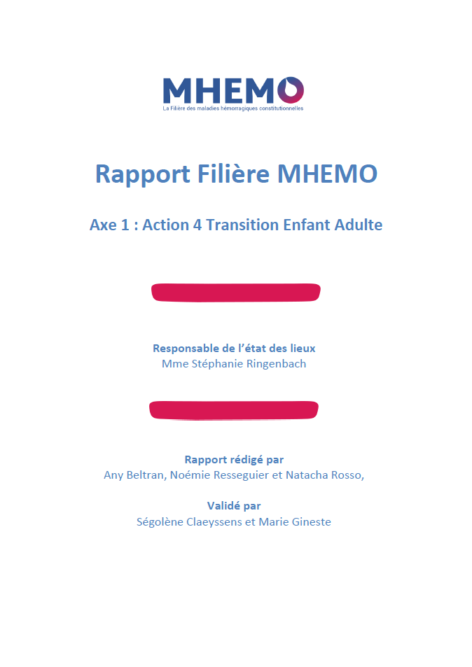 page de garde rapport transition  MHEMO MHEMO